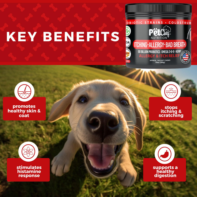 Pet Chef Allergy Defender - Natural Dog Allergy Relief Chews - Effective Medicine for Dog Allergies, Environment and Household Irritant Prevention - Safe & Strong Allergy Supplements for Dogs Peanut Butter - PawsPlanet Australia