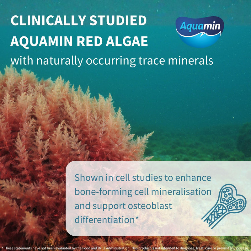 Igennus Red Algae Calcium Magnesium Complex, Bone Support, 60 Tablets | Comprehensive Complex with K2, D3 & Boron, High Absorption Minerals, Vegan & Plant Based, Non-GMO 60 Count (Pack of 1)