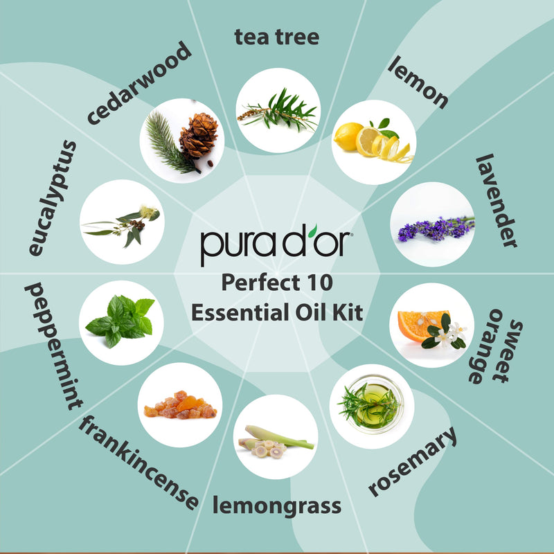 [Australia] - PURA D'OR ORGANIC Perfect10 Essential Oils Set - 10x 10m Wood Box Aromatherapy Gift Set - 100% Pure Therapeutic Grade for Relaxation and Wellness (Lavender, Peppermint, Eucalyptus, Tea Tree and More) 3.3 Fl Oz (Pack of 1) 