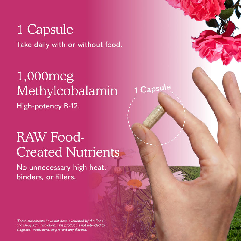 Garden of Life Vitamin Code Raw B-12 - 30 Capsules, 1,000mcg Whole Food B12 Methylcobalamin for Energy, Vegan Methylcobalamin Vitamin plus Probiotics and Enzymes, Gluten Free Supplements 30 Count (Pack of 1)