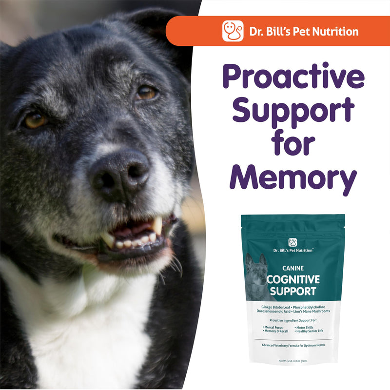 Dr. Bill’s Canine Cognitive Support | Memory Support Supplement Multivitamin for Dogs | Contains Gingko Biloba, L-Carnosine, Vitamin B-12, L-Glutamine, L-Tyrosine, and DHA for Adult and Senior Dog - PawsPlanet Australia