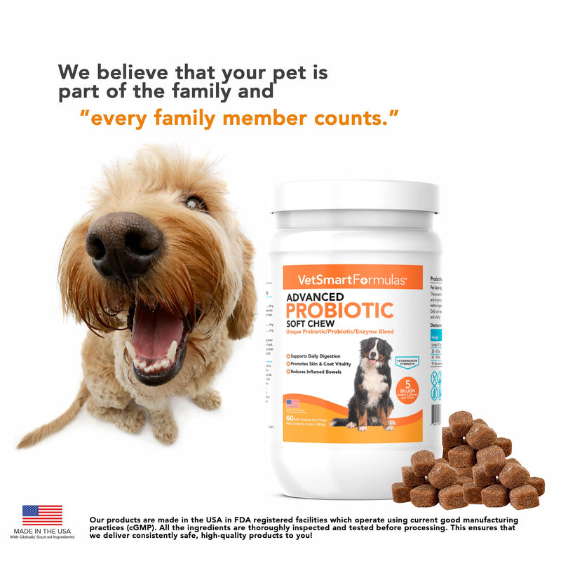 Advanced Probiotic Soft Chews for Dogs - Veterinarian-Strength Probiotic Support for Optimal Health – with 10 Billion CFUs Per Dose - PawsPlanet Australia