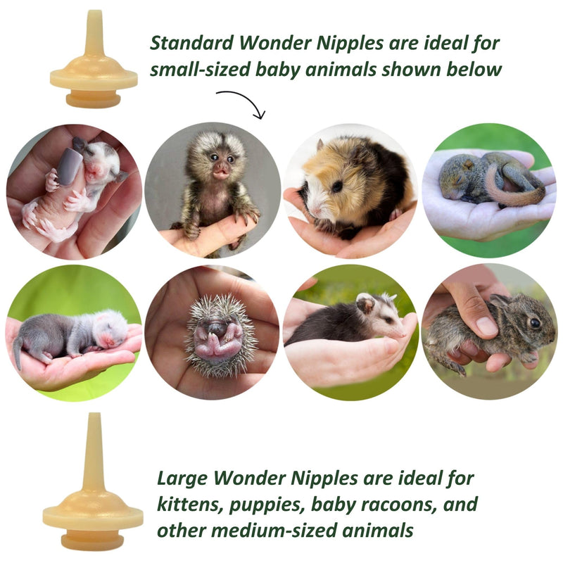 [Australia] - Exotic Nutrition Baby Squirrel Nursing Set (Basic) - Milk Replacer, Feeding Syringes Basic 