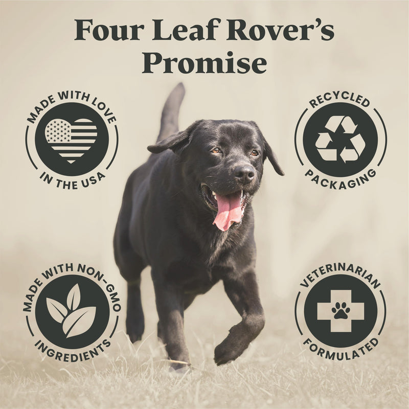 Safe-Sea - Veterinarian Formulated Omega 3 for Dogs with Green Lipped Mussel Oil, Ahiflower Oil and Astaxanthin - Sustainable Alternative to Dog Fish Oil - for Healthy Skin & Joints - PawsPlanet Australia