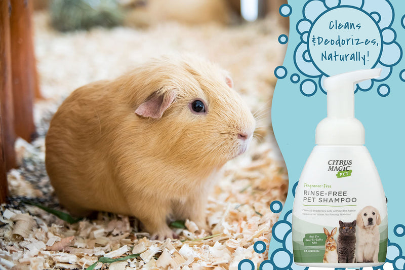 Citrus Magic Pet Rinse-Free Pet Shampoo, 8-Fluid Ounce, Pack of 2 8 fl oz (Pack of 2) - PawsPlanet Australia