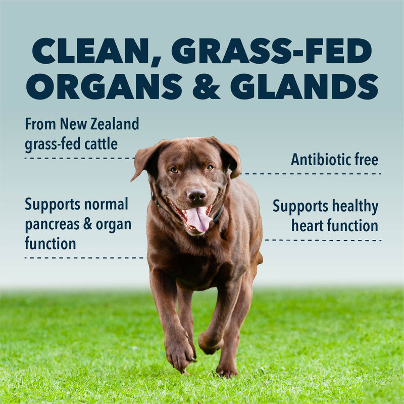 Guts & Glory - Freeze Dried Organs for Dogs - with 100% Grass-Fed New Zealand Beef - Rich in Minerals - Veterinarian Formulated - 30 Large Dog Servings - PawsPlanet Australia