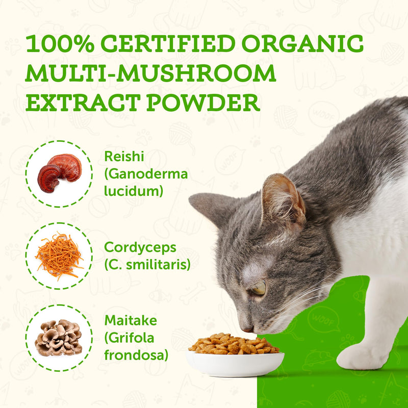 Animal Essentials MUSHROOM DEFENSE Supplement for Dogs & Cats - Critical Immune Defense, Reishi, Maitake, Cordyceps, Mushroom Powder Extract - 2.5 Oz (Pack of 1) - PawsPlanet Australia