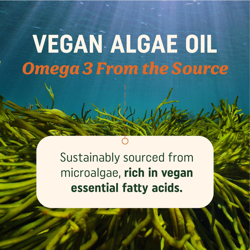 Vegan Omega 3 Algae Oil | Plant Based DHA EPA | Sustainably Sourced, No Carrageenan, Non GMO | Heart, Brain, and Eye Health | Fish Oil Alternative | Algae Omega 3 Supplement | 60 Softgel Capsules Vegan Algae Oil, 60ct