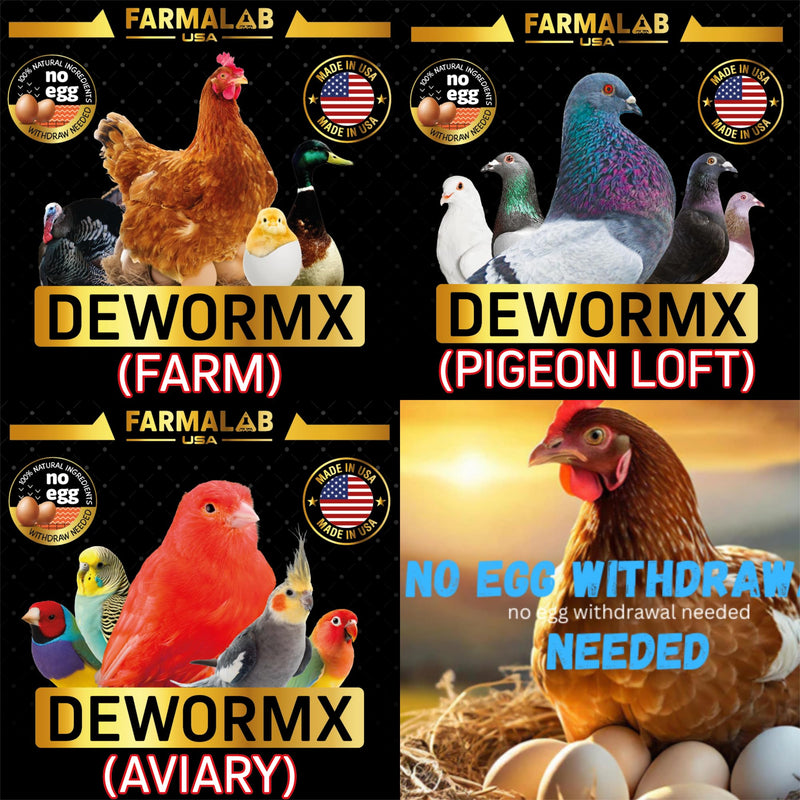 GALLOVITA para Gallos 100Tabs Vitamins Minerals Aminoacids for Rooster Hens Chickens Gamefowl Vitaminas Minerales Aminoacidos - PawsPlanet Australia