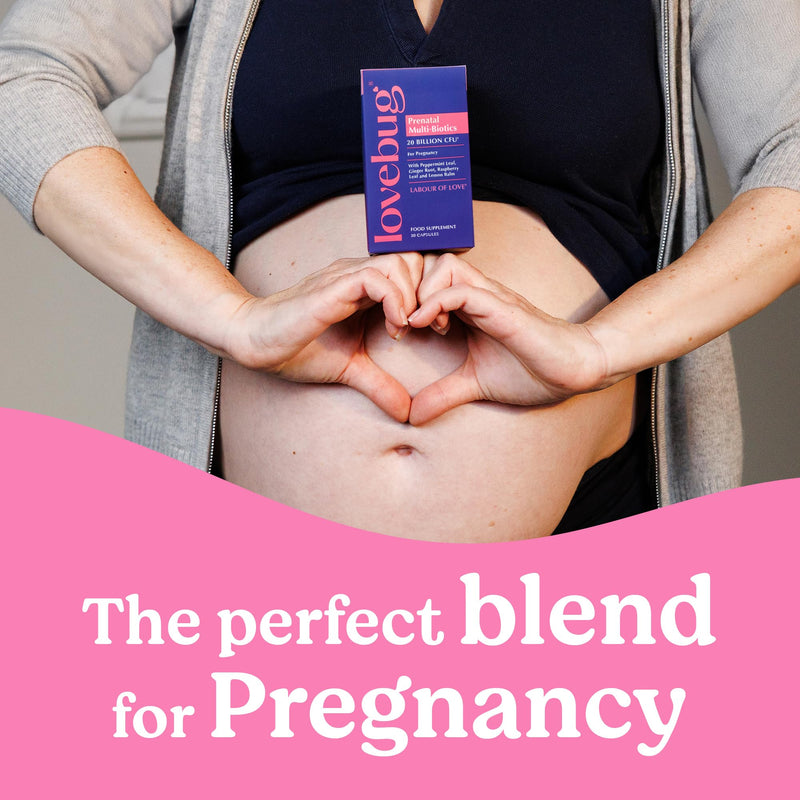 Lovebug Prenatal Multi-Biotics 20 Billion CFU with Peppermint, Ginger Root, Raspberry Leaf & Lemon Balm 30 Count