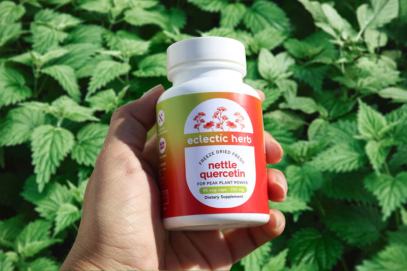 [Australia] - Eclectic Institute Raw Freeze-Dried Non-GMO Nettle Quercetin Capsules | Sinus, Nasal, Immune Support | 90 CT 