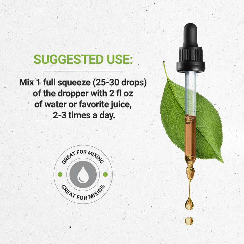 [Australia] - Secrets of the Tribe Gotu Kola Tincture Alcohol Liquid Extract, Gotu Kola (Centella Asiatica) Dried Herb (4 FL OZ) 4 Fl Oz (Pack of 1) 