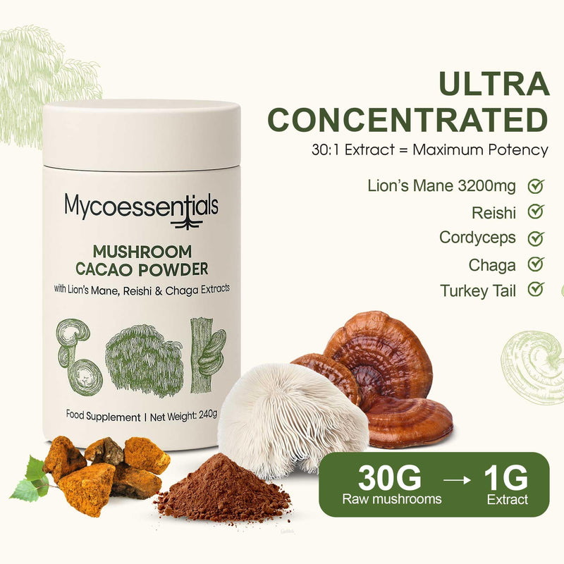 Mushroom Cacao Powder(240g - 30 Servings) – Lion’s Mane, Reishi & Chaga Coffee Alternative