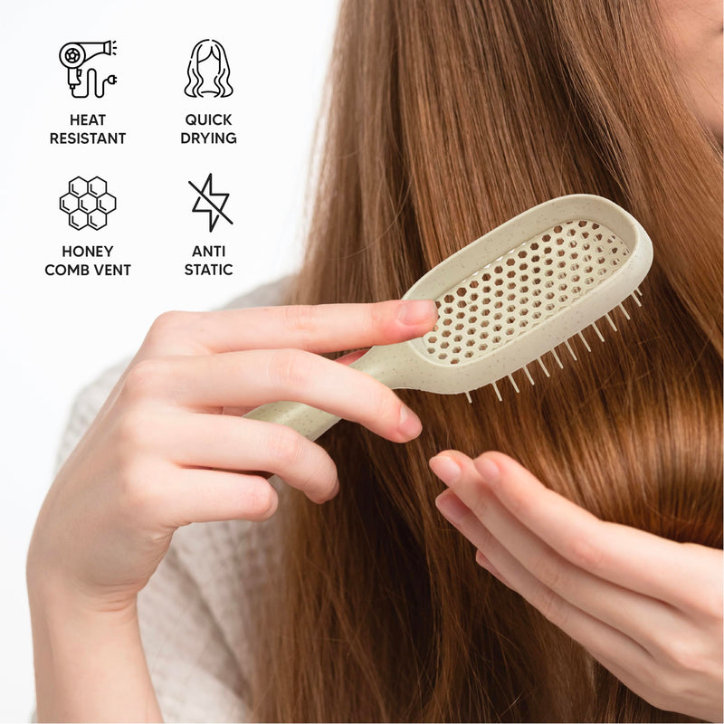 [Australia] - TADA Natural Beauty Hair Brush Detangler for Curly, Thick, Wavy, and Thin Hair - Ventilation Holes for Quick Drying and Styling, Detangler Brush for Women, Men, Kids (4 Colors) (2PK #2) 2PK #2 