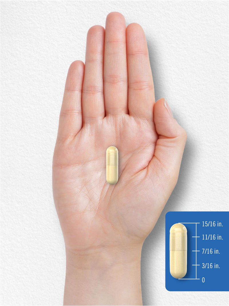 Carlyle Multi Collagen Protein Capsules 2000mg | 300 Count | Type I, II, III, V, X | Collagen Peptide Pills | Keto & Paleo Friendly | Gluten Free, Non-GMO Supplement 300 Count (Pack of 1)