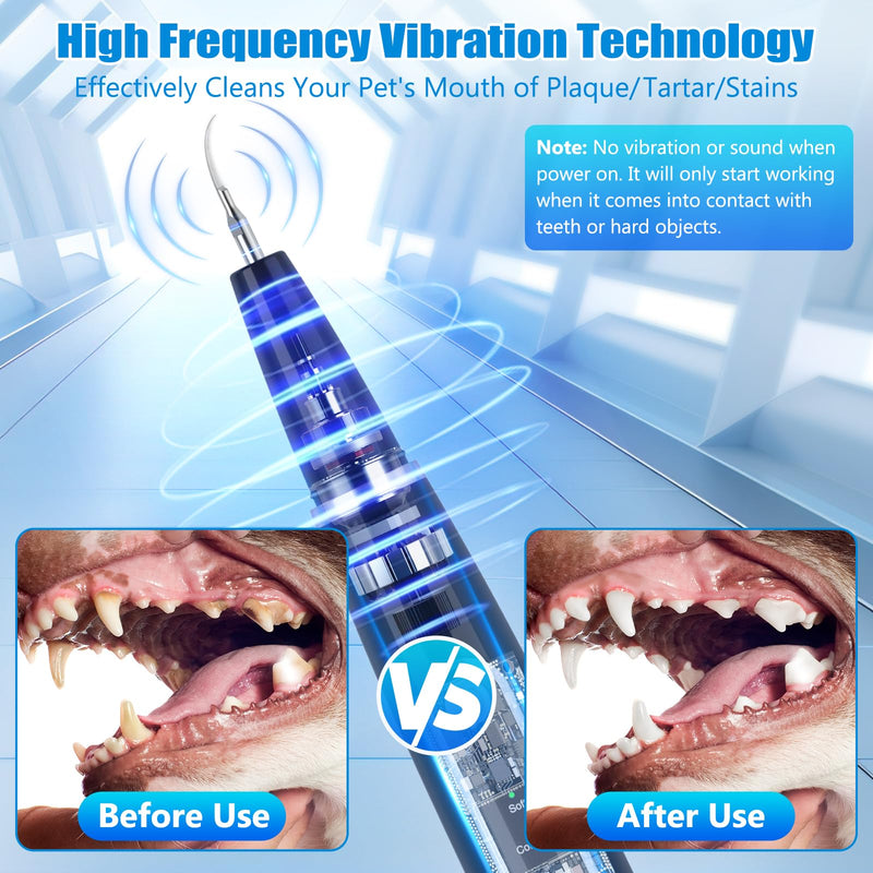 Dog Tartar Remover for Teeth, Plaque Remover with LED Light Teeth Cleaning Kit 5 Modes for Dogs and Cats, Black