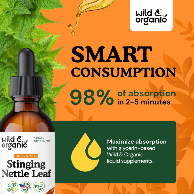 [Australia] - Wild & Organic Stinging Nettle Leaf Extract Drops - Urinary Tract Support - Liquid Stinging Nettle Supplement - Urtica Dioica Tincture - 2-Month Supply - Vegan, Sugar & Alcohol-Free - 2 fl oz 2 Fl Oz (Pack of 1) 