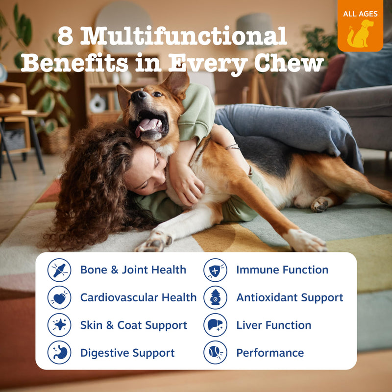 Zesty Paws Dog Multivitamin, Chewable Dog Vitamins and Supplements for Hip & Joints, Skin & Coat, Omega 3 Fish Oil for Dogs- Senior & Puppy Multivitamin- Chicken- 90ct Chicken - 8-in-1 90 Count (Pack of 1)