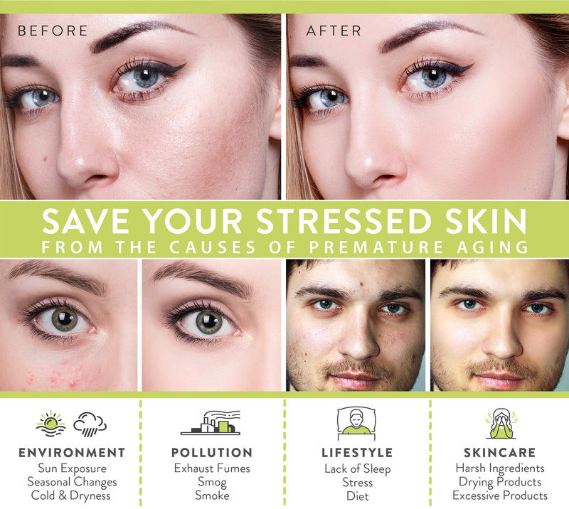 LILY SADO TEA+C Green Tea Water Rush Gel Moisturizer - Lightweight Vitamin C Anti-Wrinkle Moisturizing Lotion - Hydrates & Softens for Luscious, Radiant Skin. Perfect for Spring and Summer. Green Tea Water Rush Gel Cream