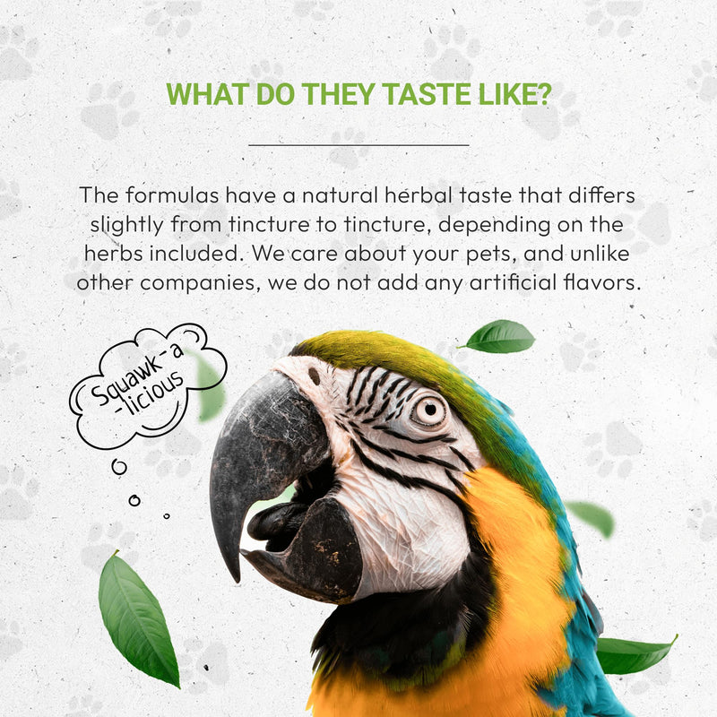 Birds Respiratory | Natural Herbal Dietary Pet Supplement for Birds | Healthy Respiratory System Support in Birds | Alcohol-Free Extract, Peppermint, Marshmallow, Calendula, Turmeric, Thyme 2 oz - PawsPlanet Australia
