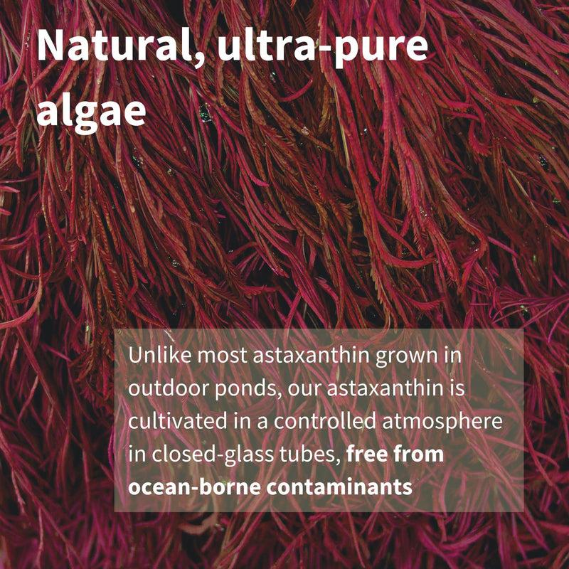 [Australia] - Astaxanthin Complex with Lutein and Zeaxanthin, Natural Algae Antioxidant for Eyes, Skin & Joints, Non-GMO 42 mg Astapure Providing H. Pluvialis Astaxanthin 4mg Softgels, Pure & Essential 
