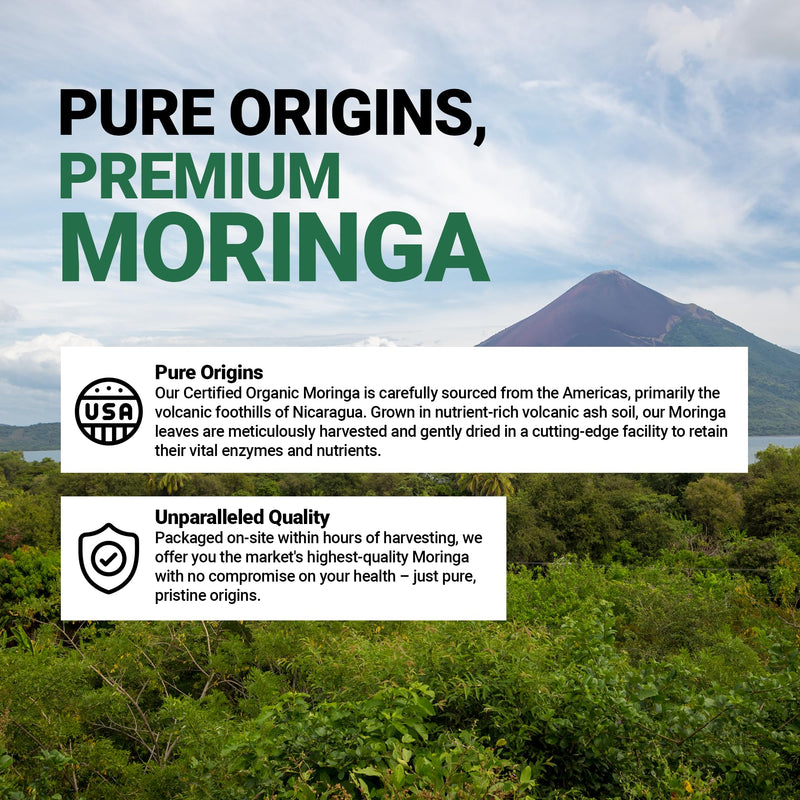 Right Health Nutra - 100% Pure Moringa 800mg - 60 Capsules - Dietary Supplement for Brighter Mood, Enhanced Concentration, and Fortified Memory - with Vitamins, Minerals, and Nourishing Nutrients