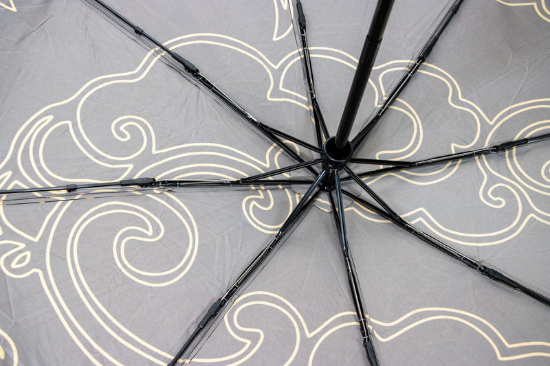 Stylish Umbrella Collection, Transparent, Avocado green, Xiangyun collection, Automatic Opening Folding