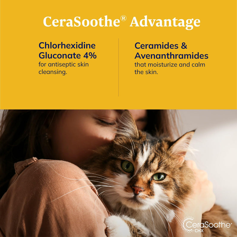 CeraSoothe® CHX Antiseptic Shampoo 16oz - PawsPlanet Australia