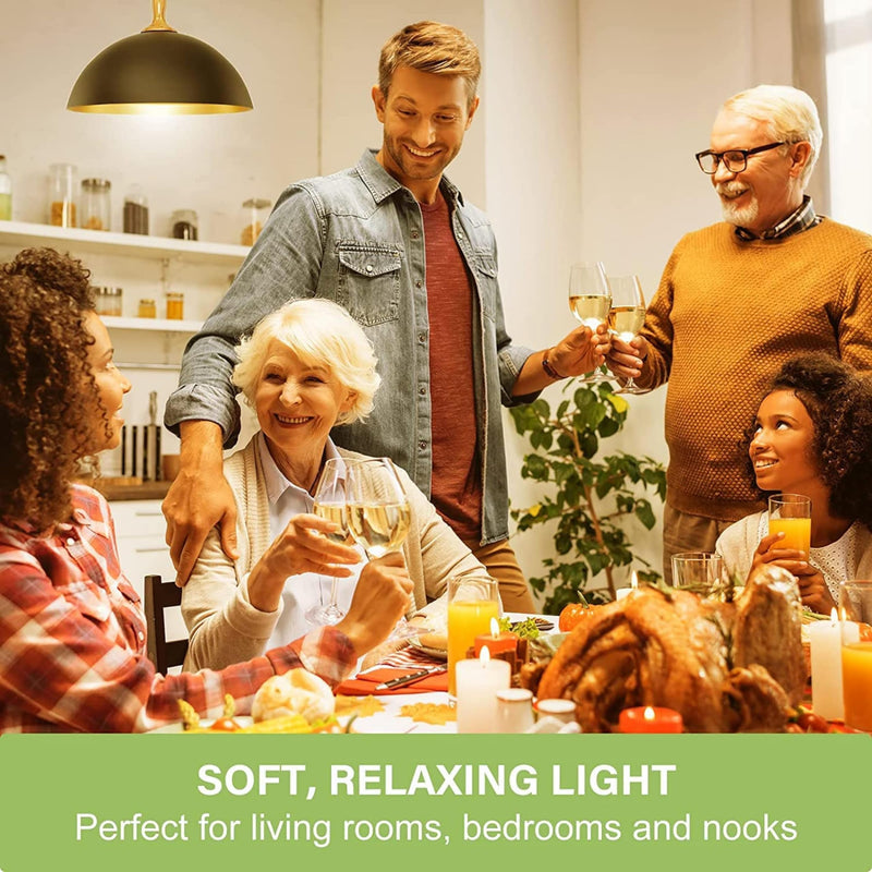 [Australia] - Sigalux LED Light Bulbs 60 Watt Equivalent A19 Standard Light Bulbs 2700K Warm, Non-Dimmable Energy Efficient 9.5W LED Soft White Bulb with E26 Medium Base, 800 Lumens, UL Listed, 4 Packs 4 Count (Pack of 1) 