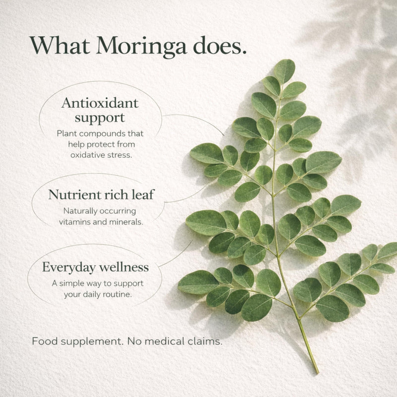 Max Absorption Moringa Liquid Drops, Moringa Oleifera Leaf Extract 400mg per Serving, 10:1 Equivalent to 4000mg Dried Leaf, 60ml