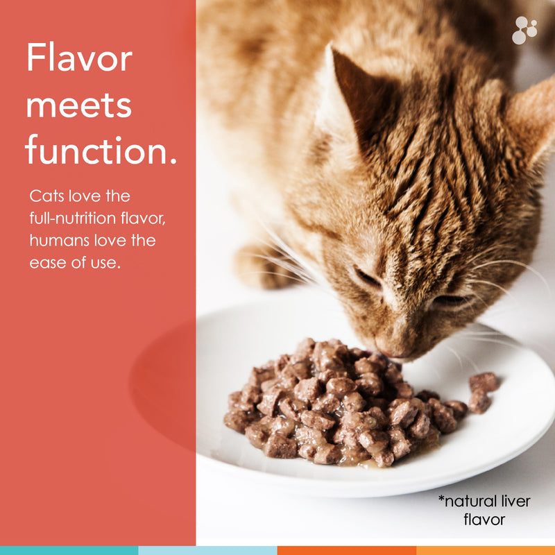 Cat Vitamins - Spectrin 16 OZ - Liquid Vitamin & Antioxidant Supplement for Cats - 96 doses - PawsPlanet Australia