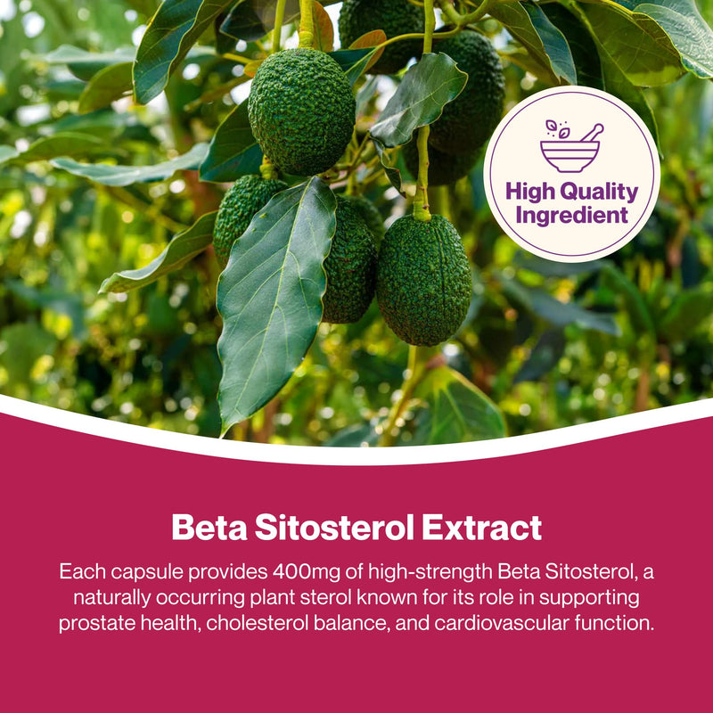 Hepatica Beta Sitosterol 400mg Daily | from 800mg Plant Sterols | 120 Vegan Capsules | 2-Month Supply | 3rd Party Lab Tested