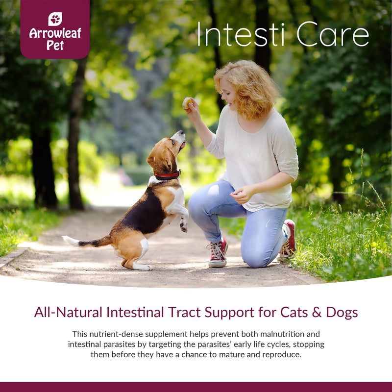Arrowleaf Leaf Intesti Care by NaturPet Inc for Dogs & Cats | Natural Alternative to Chemical Wormers | Promotes a Healthy intestinal Tract | Contains Diatomaceous Earth | 165g - PawsPlanet Australia
