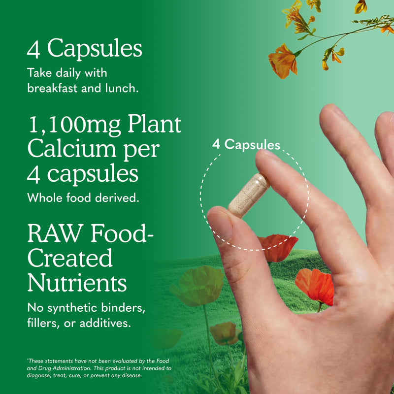 Garden of Life Raw Calcium Supplement for Women and Men - Vitamin Code Made from Whole Foods with Magnesium, K2, Vitamin D3 and Vitamin C plus Probiotics for Digestion, 120 Capsules 120 Count (Pack of 1)