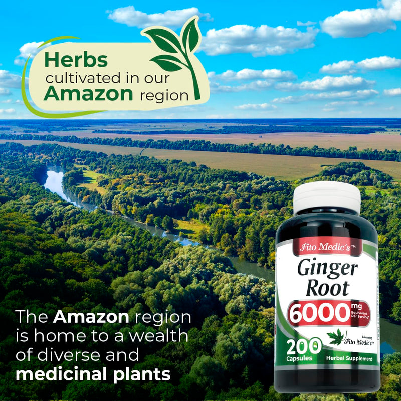 [Australia] - FITO MEDIC'S Lab | ginger | 6000 mg | 200 Caps | ginger root | ginger supplements | ginger capsules | organic ginger| Ultra high Absorption, s. 