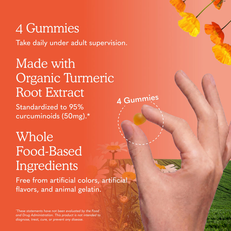 Garden of Life Organics Turmeric Inflammatory Response Gummy - 120 Real Fruit Gummies for Kids & Adults, 50Mg Curcumin (95% Curcuminoids), No Added Sugar, Organic, Non-GMO, Vegan & Gluten Free Turmeric,Ginger,Cinnamon,Black Pepper Fruit