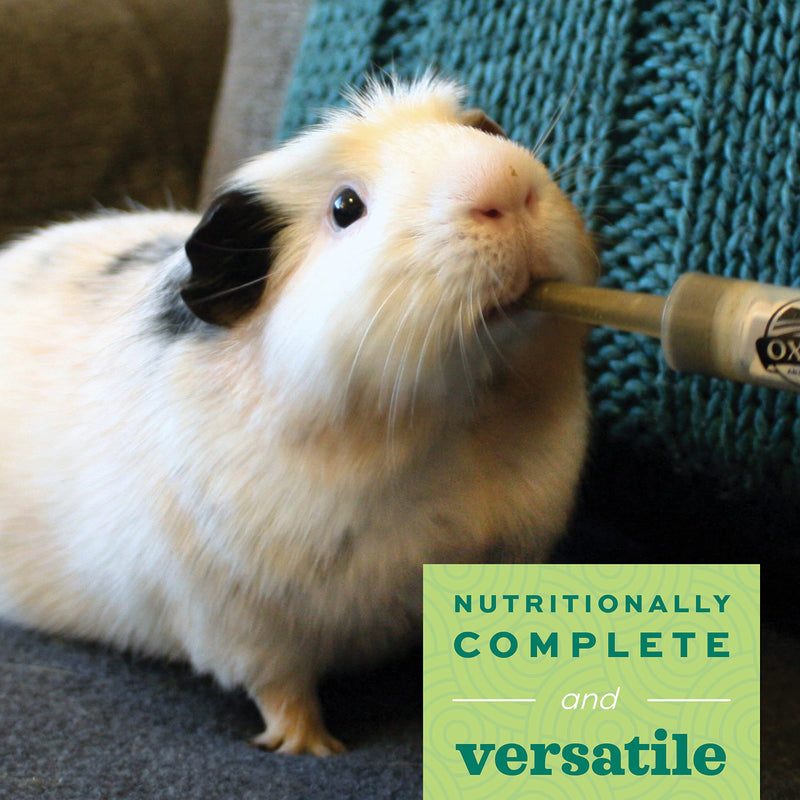 Oxbow Critical Care Herbivore, Emergency Guinea Pig Food, Rabbit Food for Recovery, Natural Anise Flavor, Veterinary Formula, Critical Care for Guinea Pig Emergency Kit, 141 gram bag 4.97 Ounce (Pack of 1)
