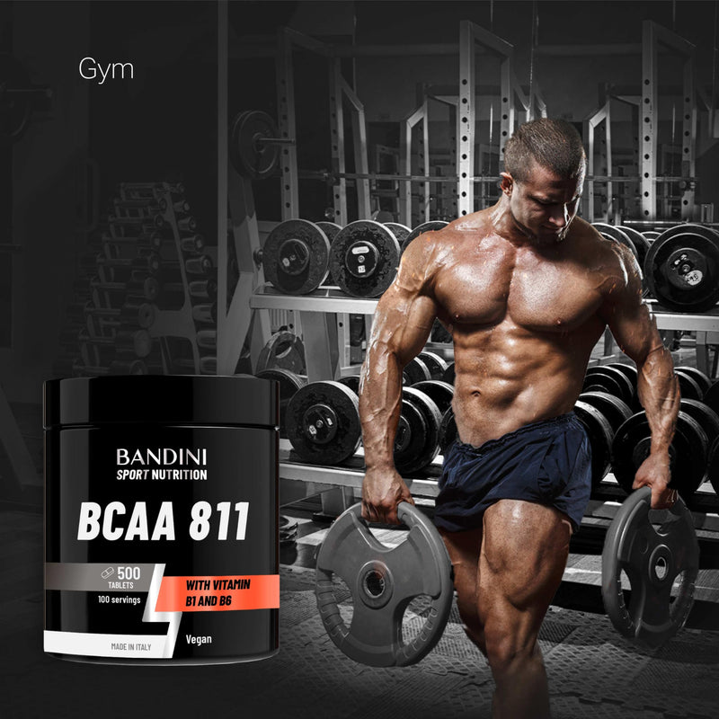 Bandini® BCAA 8.1.1 500 Tablets - Branched Chain Amino Acids with Leucine, Isoleucine, Valine - Enriched with Vitamin B1 and B6 - Lactose Free - Vegan, No GMO - Pre and Post Workout Food Supplement 500 count (Pack of 1)