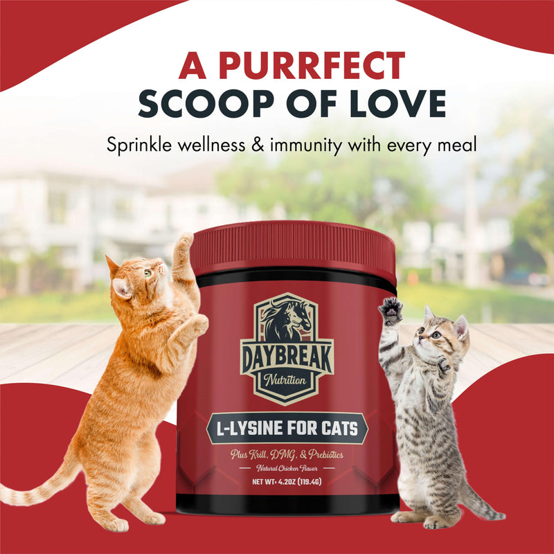 [Australia] - L-Lysine for Cats and Kittens - 900 mg L Lysine Powder for Cats for Immunity & Respiratory Support - Cat Supplement with L-Lysine, Prebiotics, Krill, & DMG for Immune System, Eye Health & Sneezing 