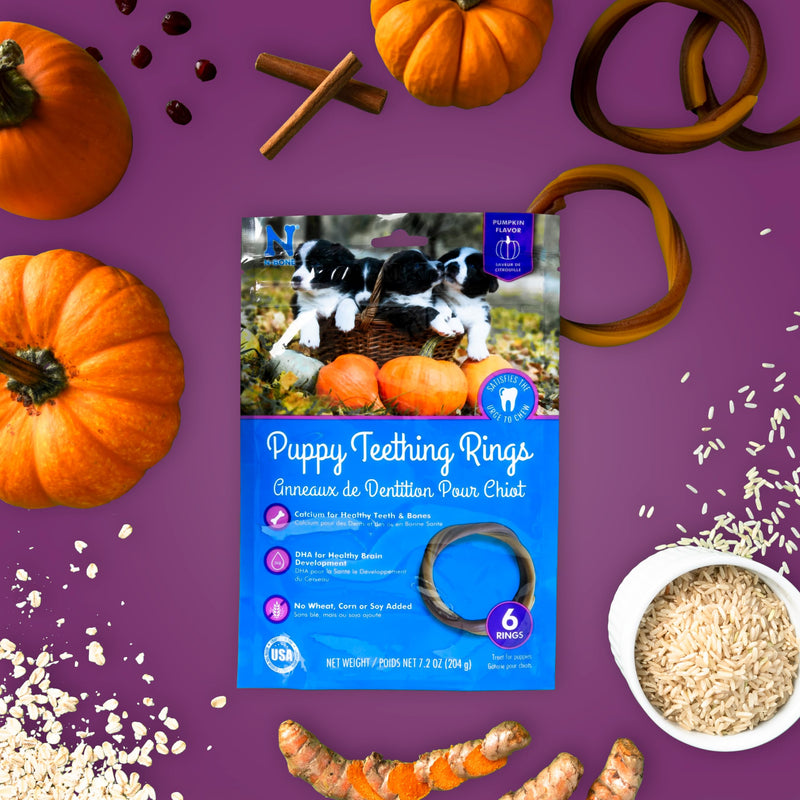 N-Bone Puppy Teething Ring Pumpkin Flavor 7.2 Oz/(6 Count) 1.2 Ounce (Pack of 6) - PawsPlanet Australia