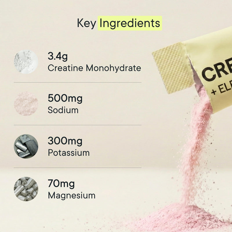 Creatine and Electrolytes Powder | Creatine Monohydrate with Electrolytes for Women & Men | Hydration & Performance | Mixed Berry Flavoured Travel Sachets | 30 Servings Pack Of 30