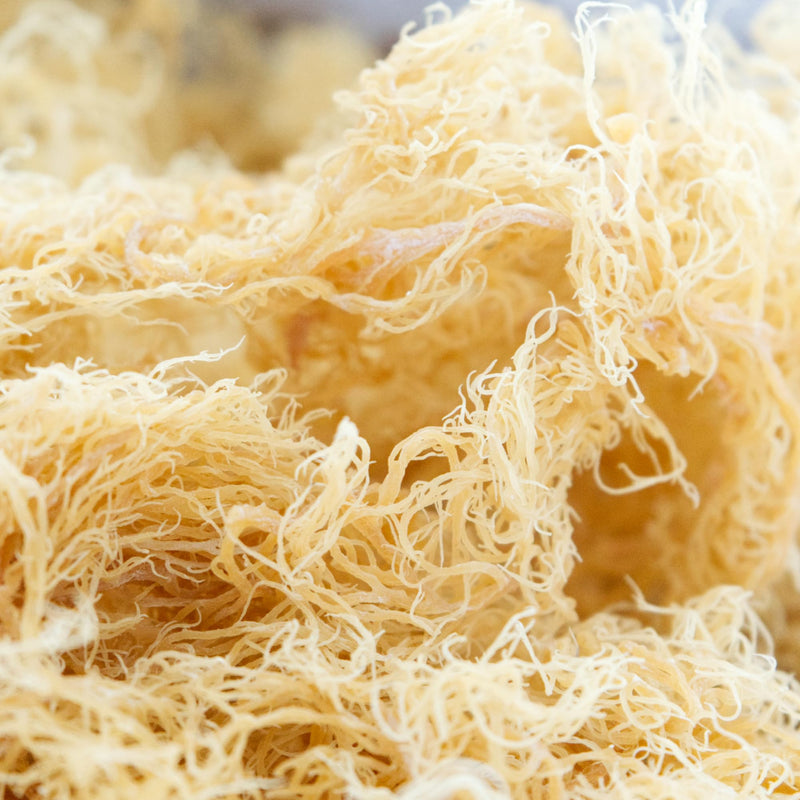 Raw Dried Sea Moss 100g | Pure Sea Moss Organic-Vegan, for Homemade Sea Moss Gel