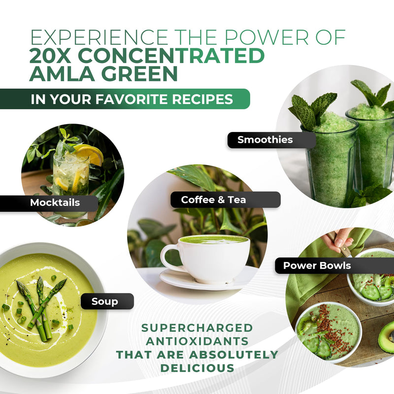 [Australia] - Amla Powder & Decaf Green Tea Superfood Supplement, 20x Ultra Concentrated Amla, Oolong Tea and Indian Gooseberries, Organic, Vegan, 90 Servings 90 Servings (Pack of 1) 