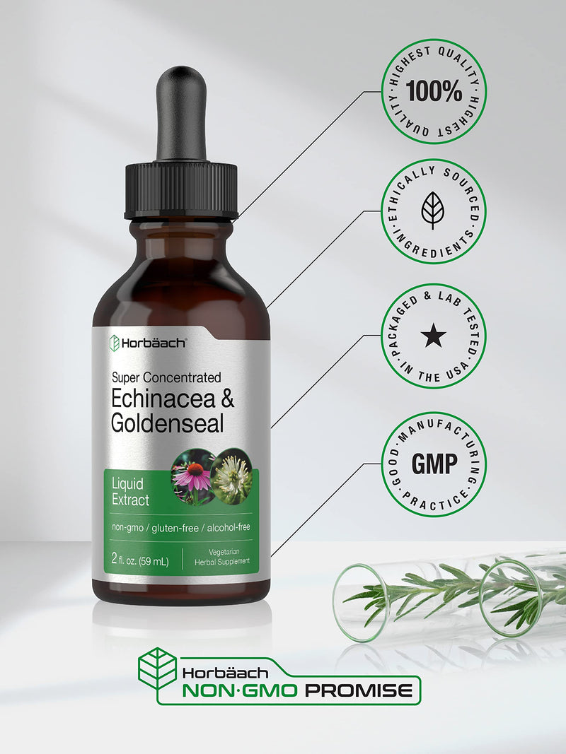 Horbäach Echinacea Goldenseal Liquid Extract | 2 fl oz | Alcohol Free Tincture Drops | Vegetarian, Non-GMO, Gluten Free