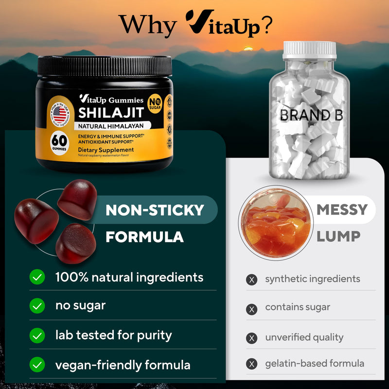 [Australia] - Himalayan Shilajit Gummies for Men & Women - Pure Shilajit for Men Gummies - Sugar Free Gummy Supplements with Fulvic Acid - Healthy Aging, Immune & Energy Support - 60 Count 60 Count (Pack of 1) 