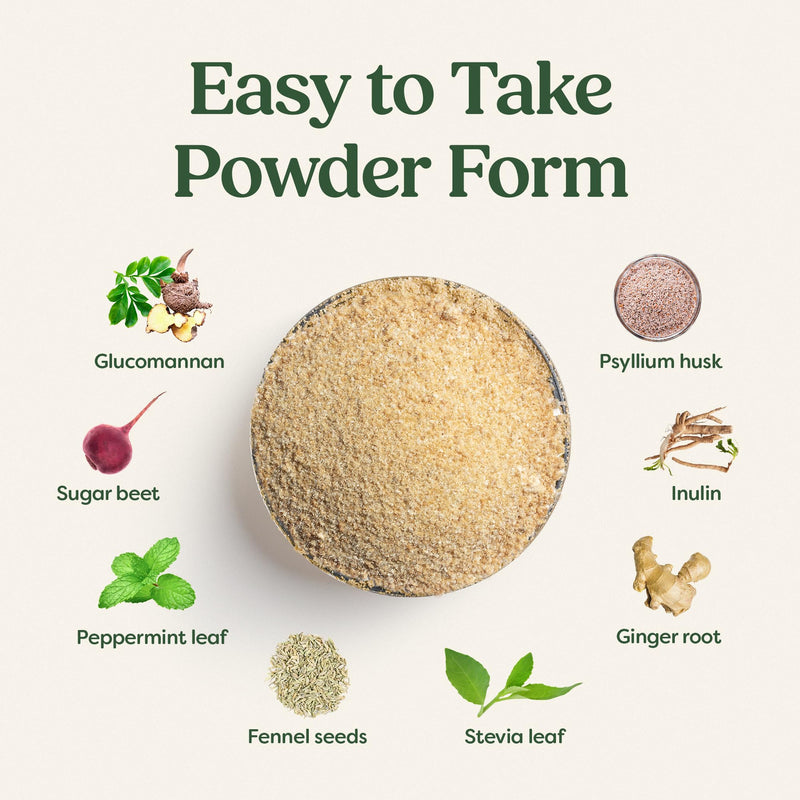 Daily Fibre Complex 180 g – High Fibre Powder with Psyllium Husk, Glucomannan (Konjac), Sugar Beet Fibre, Inulin (FOS), Herbal Botanicals & Live Bacteria – Mild Mint Flavour – Vegan