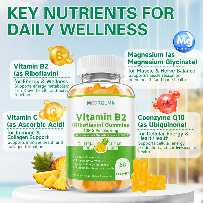Vitamin B2 Gummies, 10mg Riboflavin Supplement for Kids & Adults, with Magnesium Glycinate, CoQ10 and Vitamina C, for Women and Men, Energy, Immune Wellness & Cellular Health Support, 120 Count 30 Count (Pack of 2)