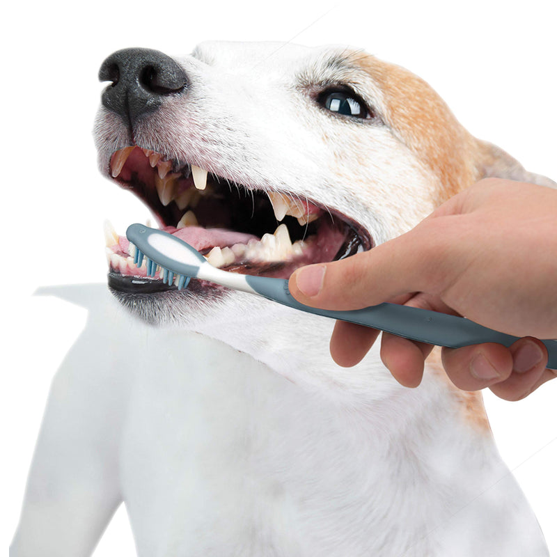 [Australia] - Nylabone Advanced Oral Care Dog Dental Kit Original Flavor 2.5 oz. 