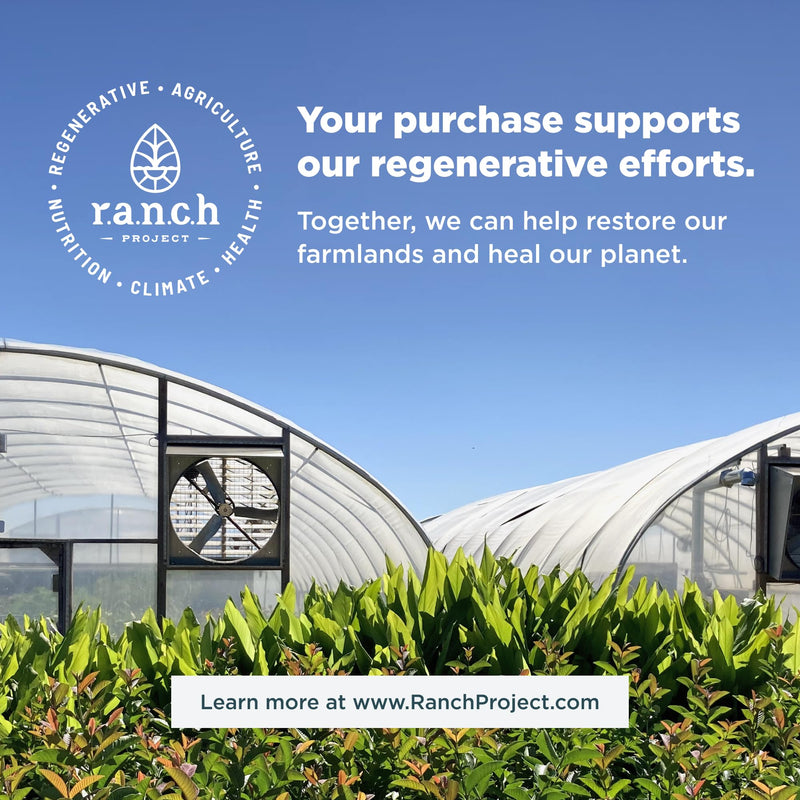 [Australia] - Ancient Nutrition Organ Supplements, Grass-Fed and Wild Organ Complex Capsules, Liver, Heart, Kidney Supports Organ, Cognitive, and Immune System Health, 180 Ct Organs Blend 