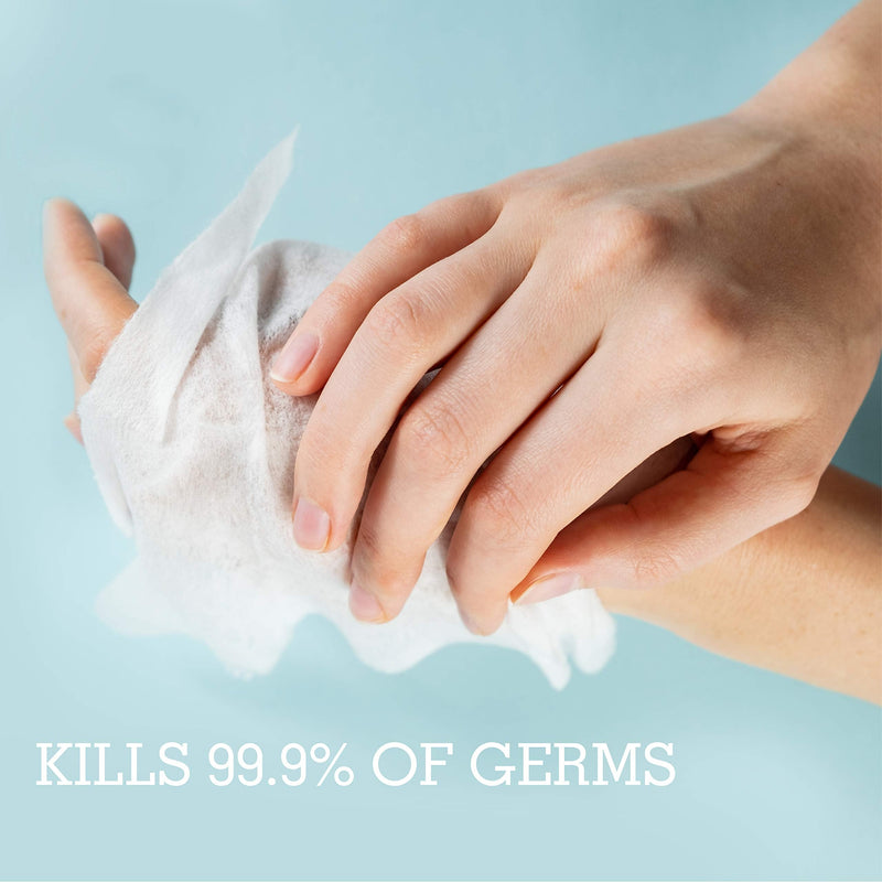 [Australia] - Antibacterial Hand Sanitizing Individual Hand Wipe Packets, 50 Unscented Disinfecting Hand Sanitizer Wipes with Aloe for Travel, Kills 99.9% of Germs 50 Count (Pack of 1) 